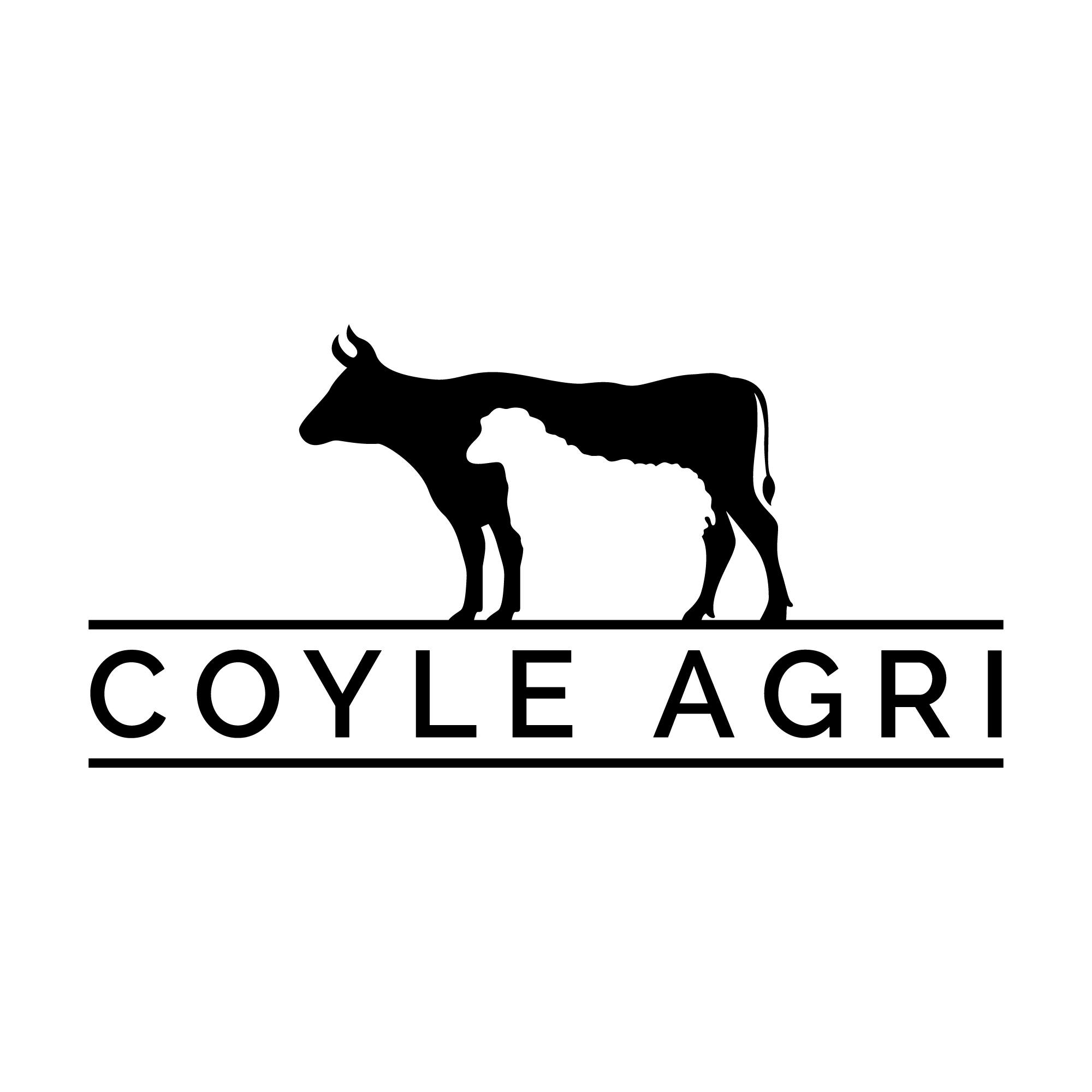 (090) 647 3697